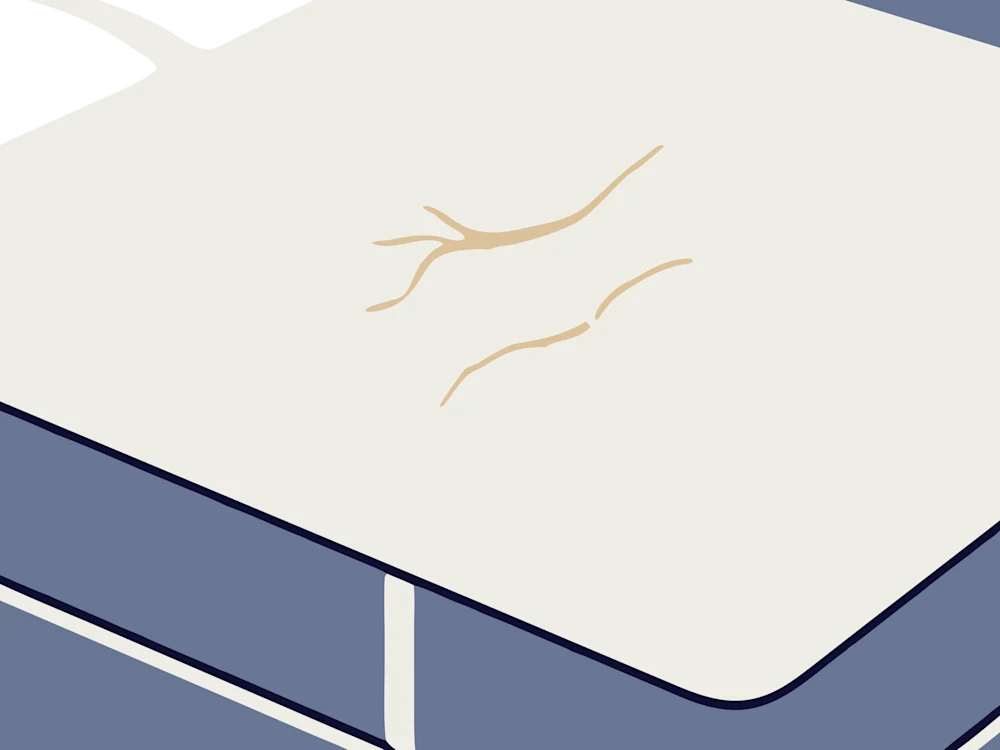 https://media.sienasleep.com/image/upload/t_web43/v1786556788/mattresslifespan-inline-2.webp